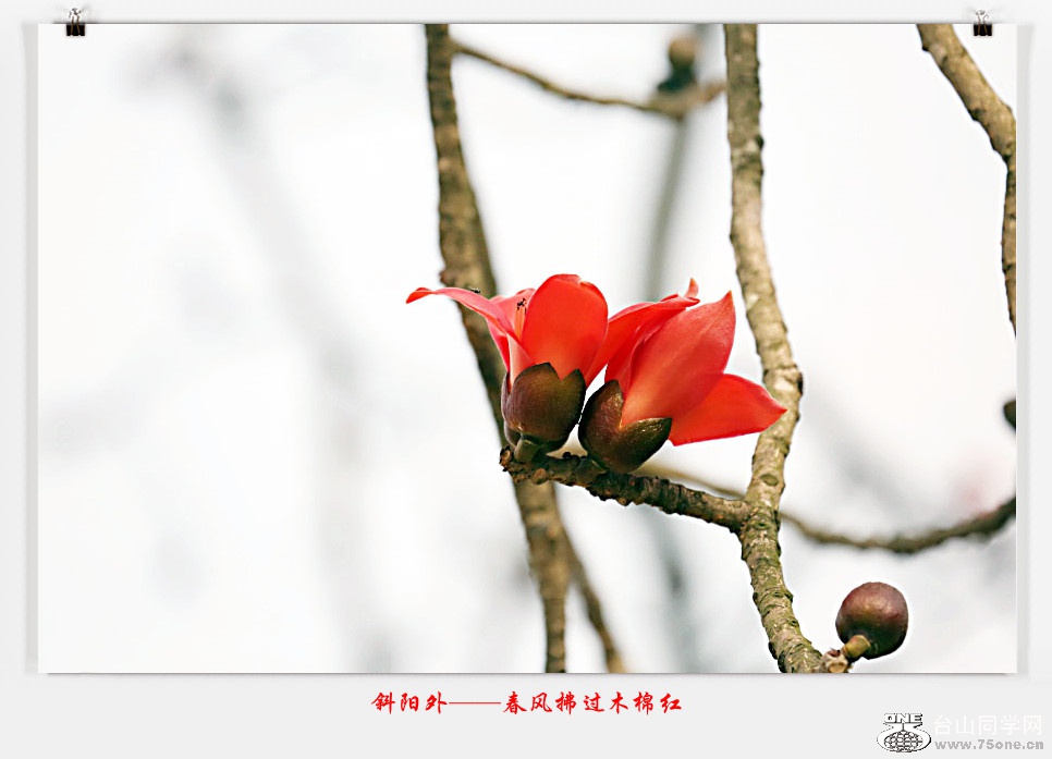 257A05402015.2.25_.jpg