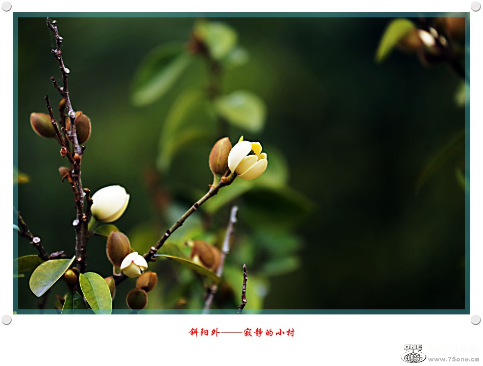 257A07862015.2.25_.jpg