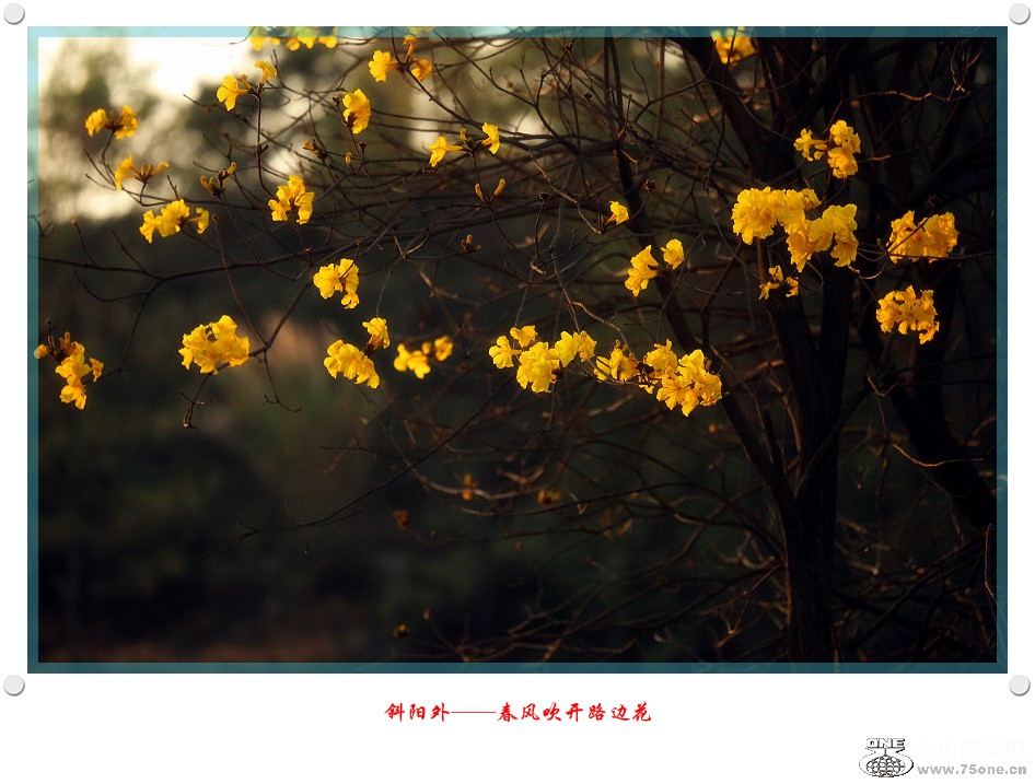 257A00052015.2.25_.jpg