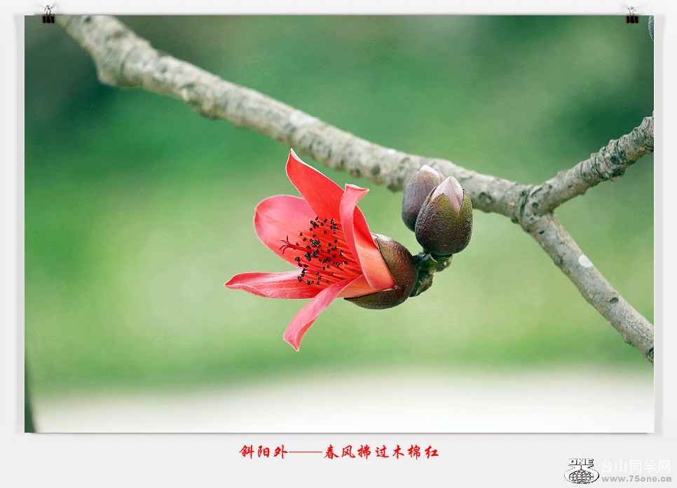 257A06162015.2.25_.jpg