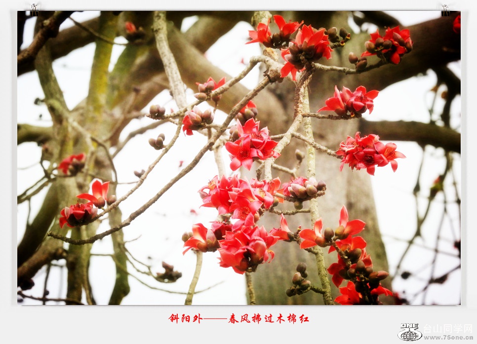 257A05182015.2.25_.jpg