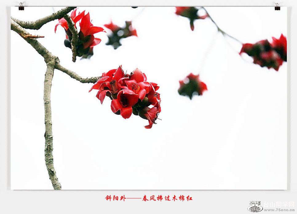 257A05002015.2.25_.jpg