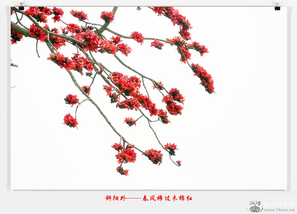 257A05322015.2.25_.jpg
