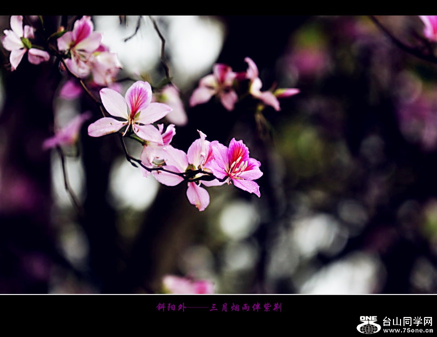 257A09502015.2.25_.jpg