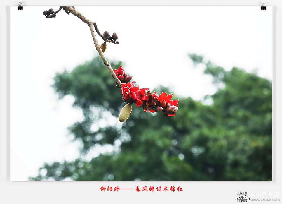 257A04882015.2.25_.jpg