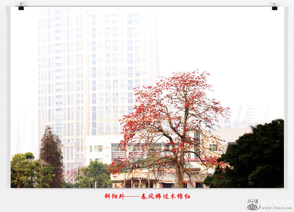 257A04822015.2.25_.jpg