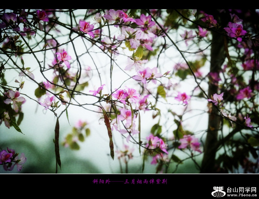 257A10382015.2.25_.jpg
