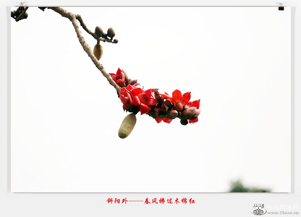 257A05432015.2.25_.jpg