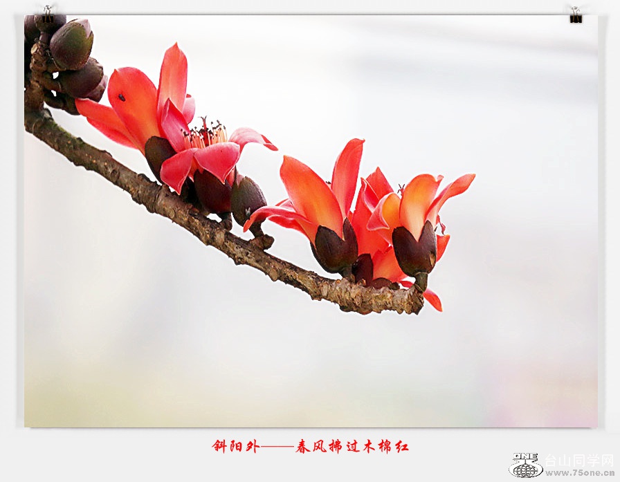 257A06402015.2.25_.jpg