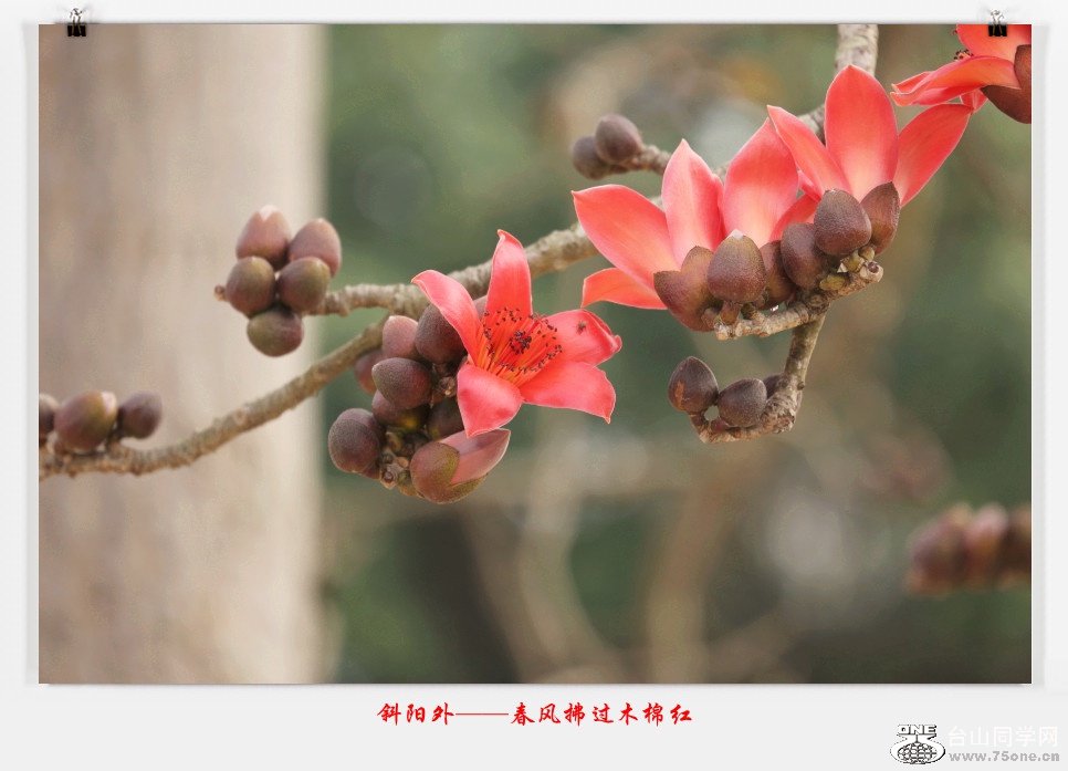 257A05652015.2.25_.jpg