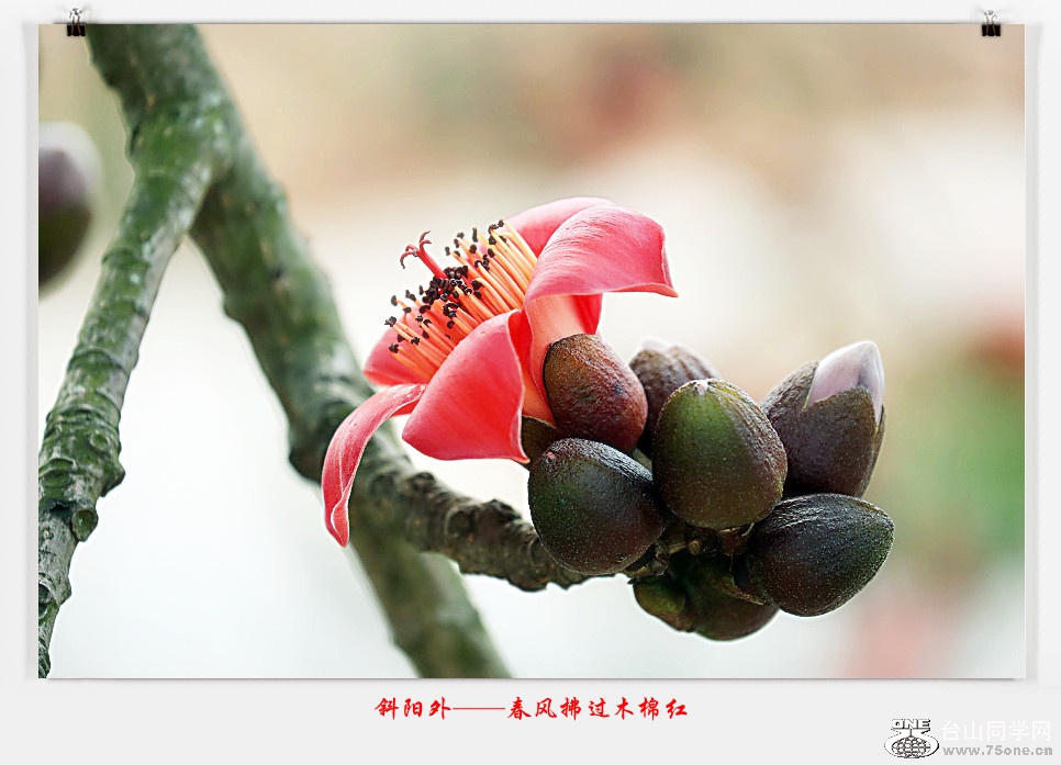 257A05922015.2.25_.jpg