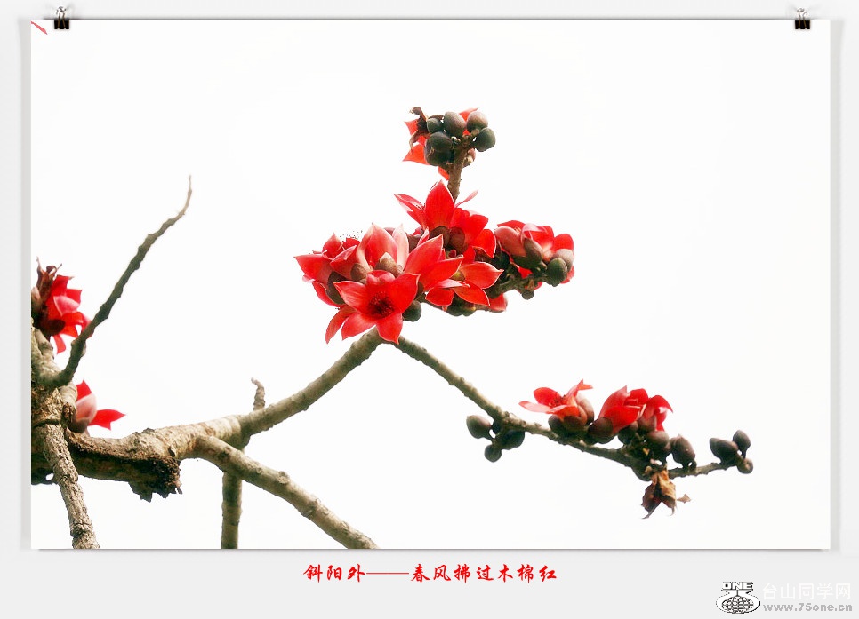 257A05412015.2.25_.jpg