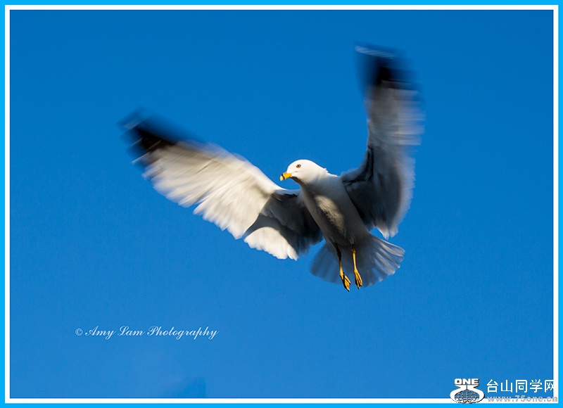 IMG_5200.jpg