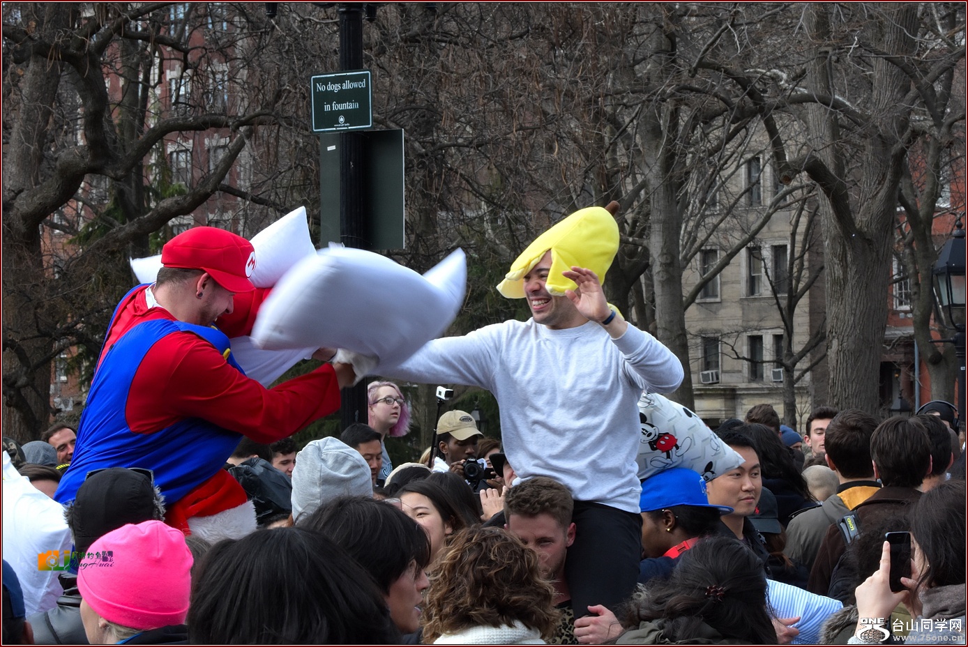 DSC_6184_.jpg