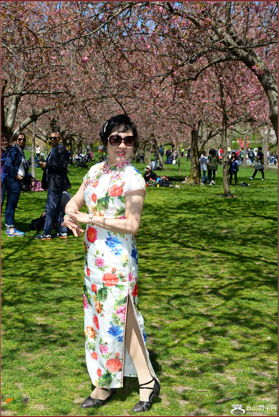 DSC_6764.jpg