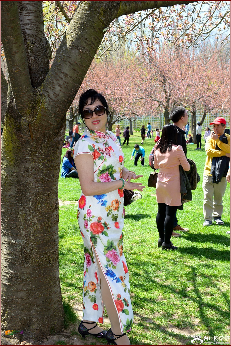 DSC_6768.jpg
