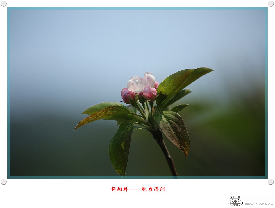 DPP_2017.230498_.jpg