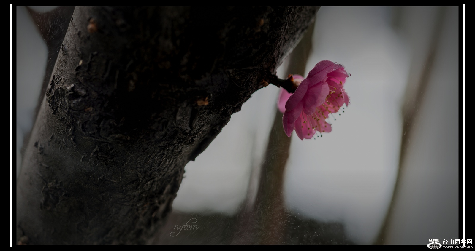 DSC_3443,_.jpg