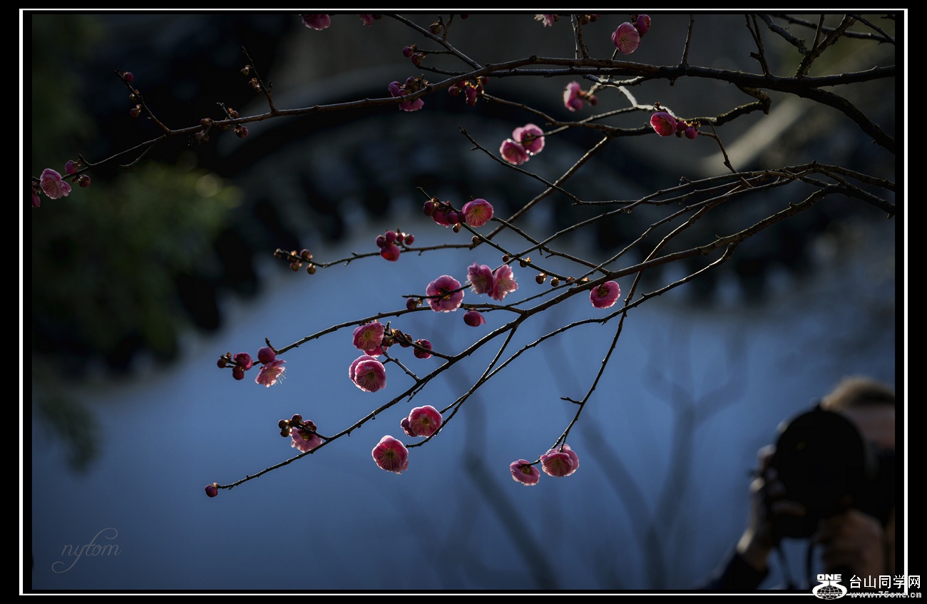 DSC_3901.jpg