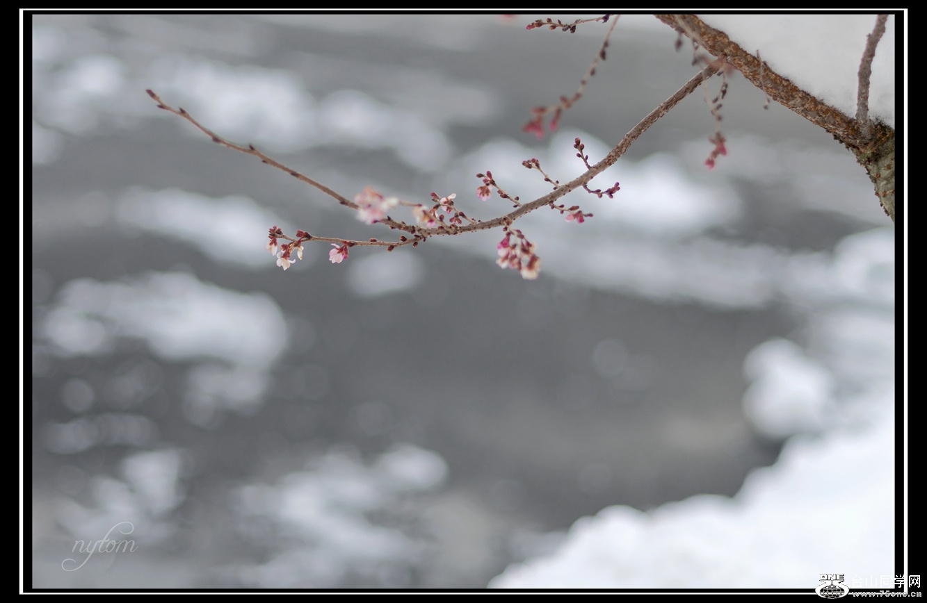 DSC_3061_.jpg