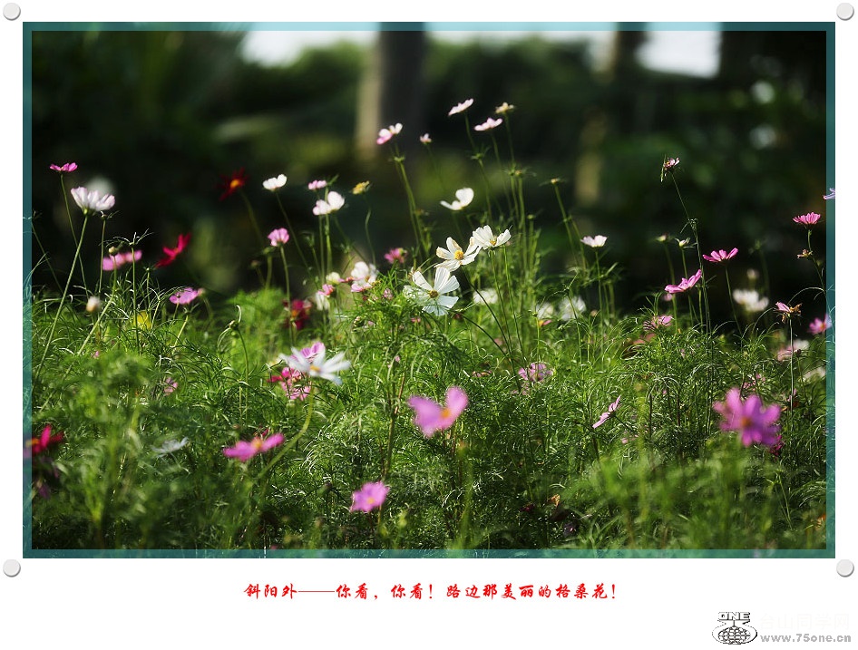 DPP_2017.5.290206_.jpg