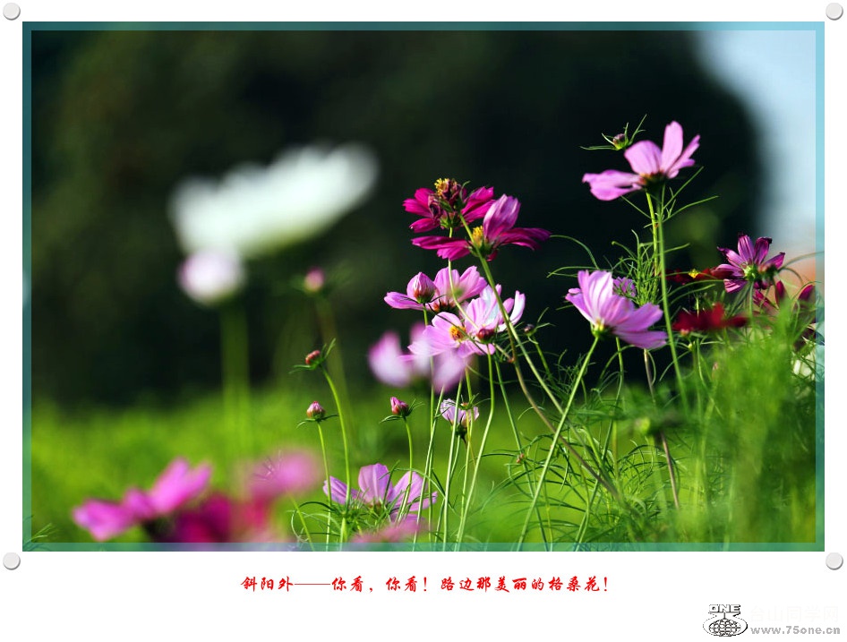DPP_2017.5.290127_.jpg