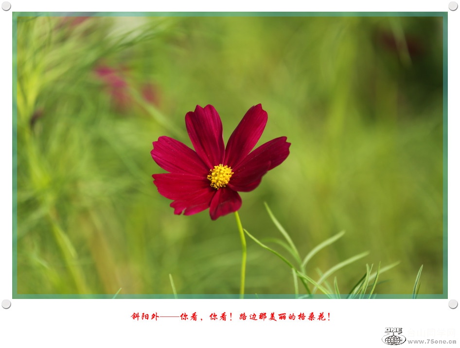 DPP_2017.5.290016_.jpg