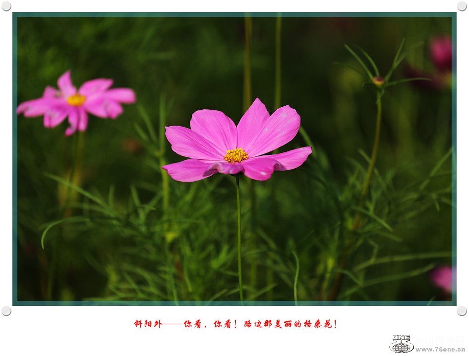 DPP_2017.5.290178_.jpg