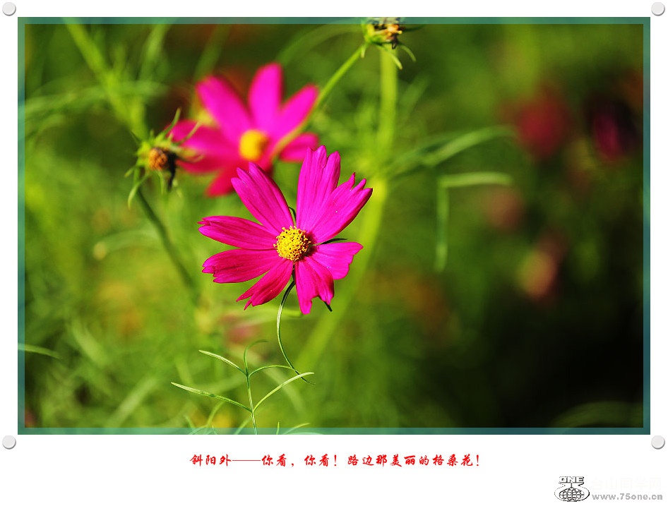 DPP_2017.5.290191_.jpg
