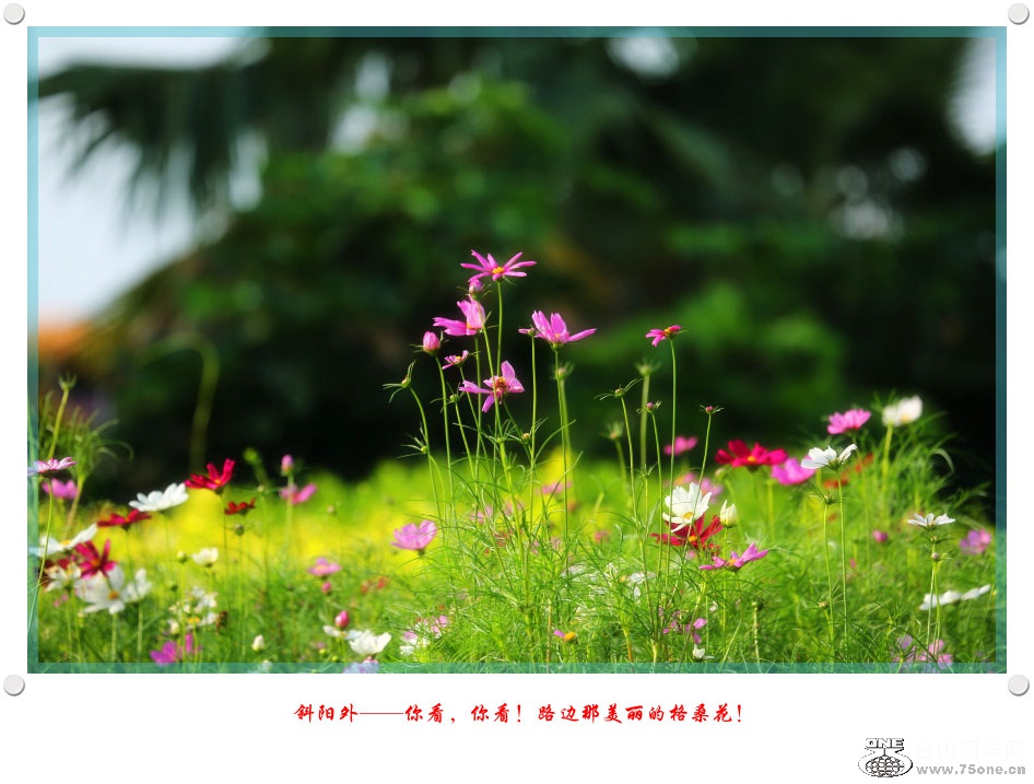 DPP_2017.5.290205_.jpg