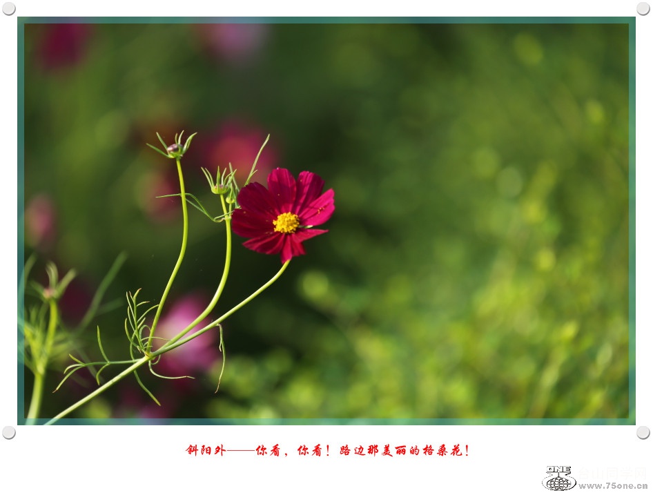 DPP_2017.5.290075_.jpg