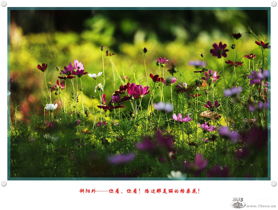 DPP_2017.5.290192_.jpg