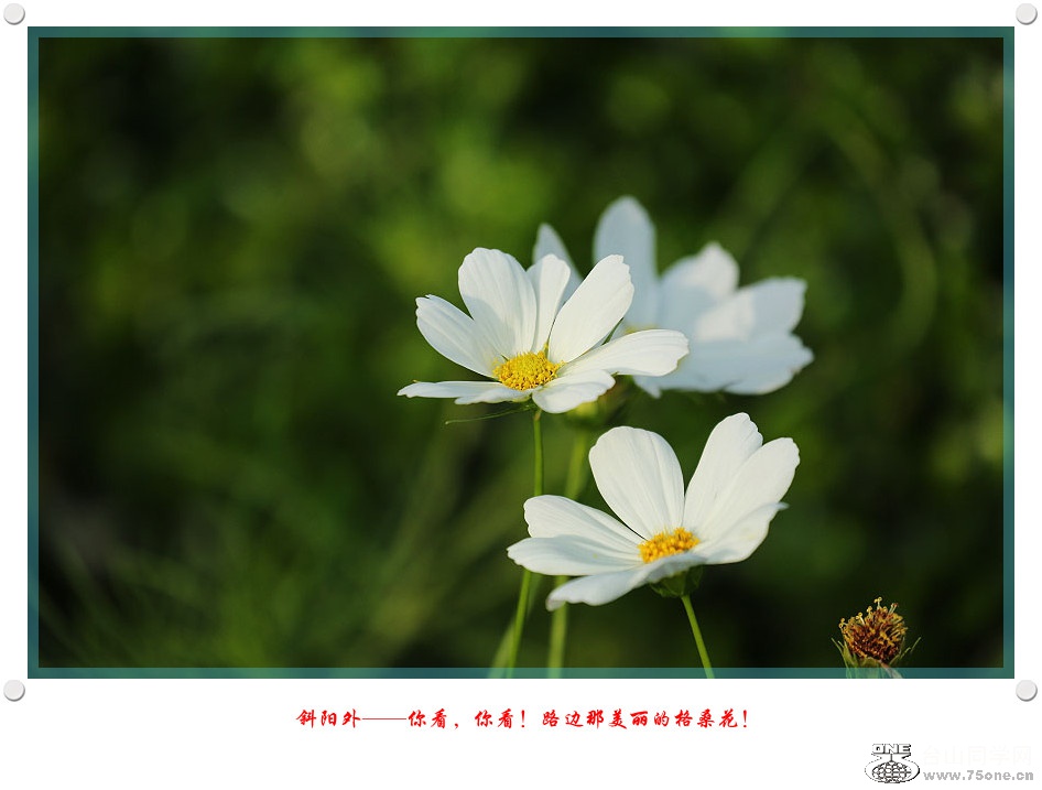 DPP_2017.5.290021_.jpg