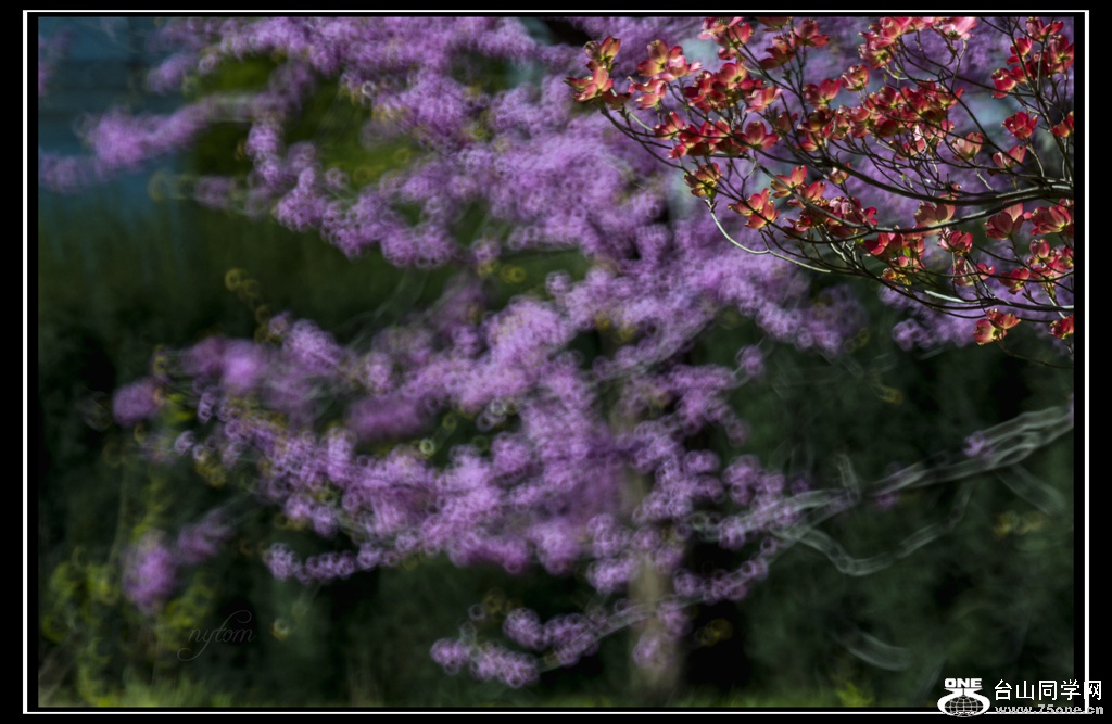 DSC_8011_.jpg