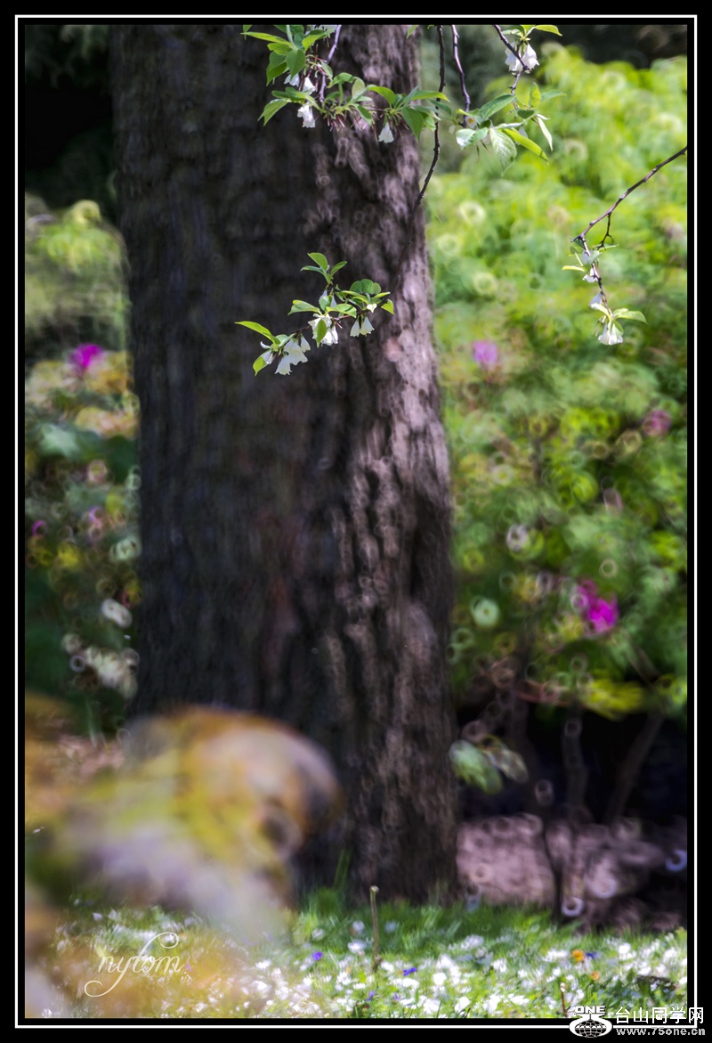 DSC_8369_.jpg