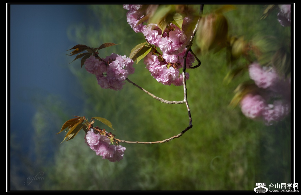 DSC_7980_.jpg