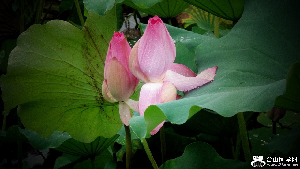 DSC03625_.jpg