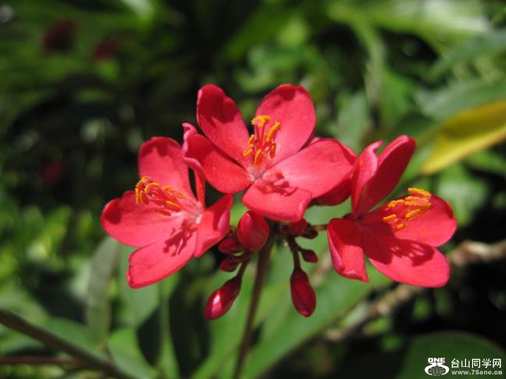 ####(1)_conew2.jpg