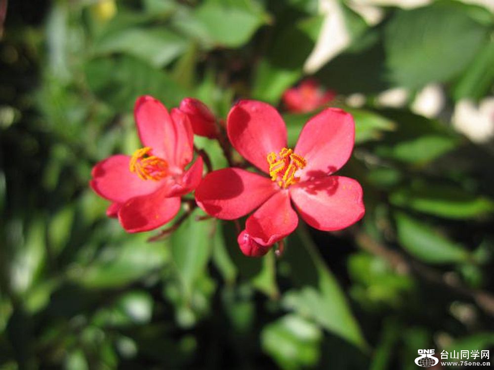 ####(1)_conew4.jpg