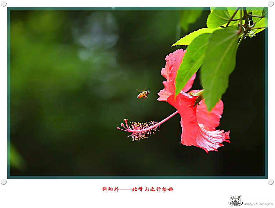 DPP_2017.6.130523_.jpg