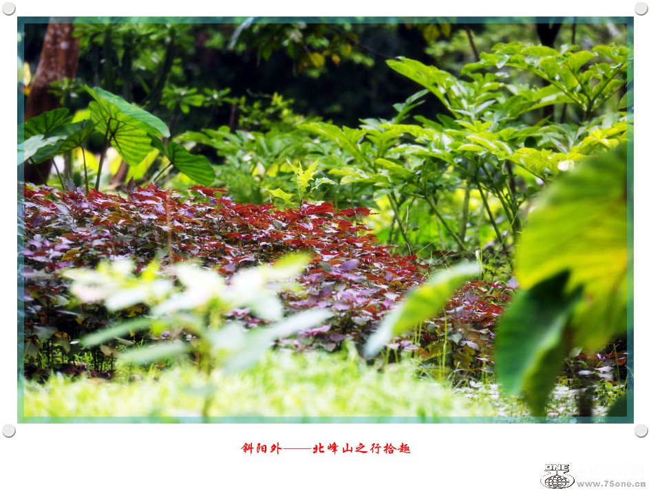 DPP_2017.6.130339_.jpg