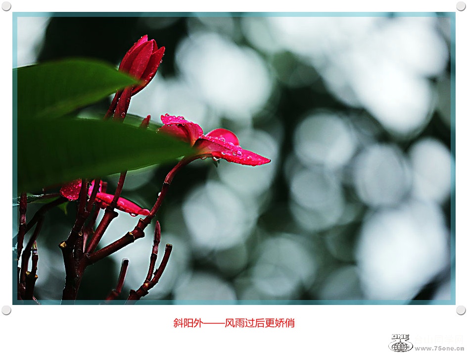 DPP_2017.6.130047_.jpg
