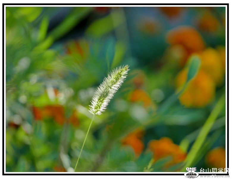 L3020138_conew1.jpg
