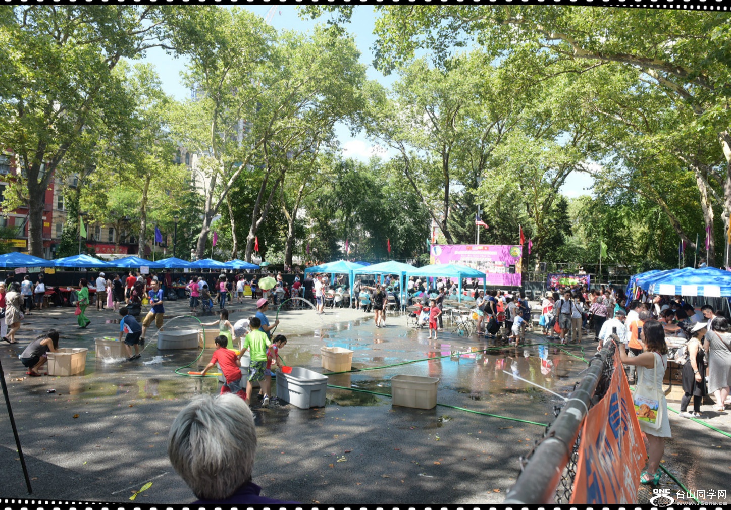 DSC_7271.jpg