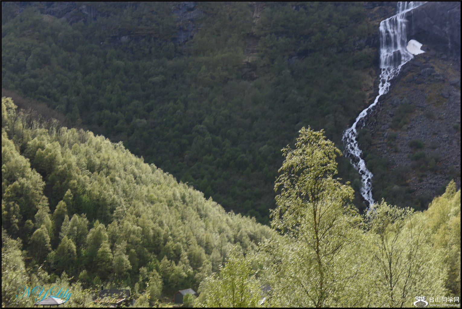 DSC_2801.jpg