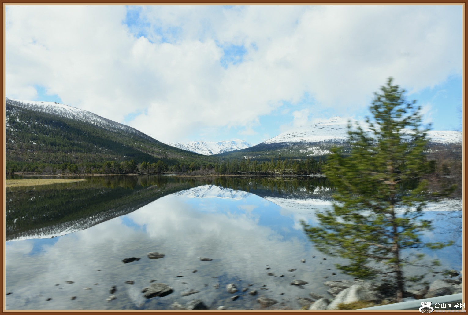 DSC_2548.jpg