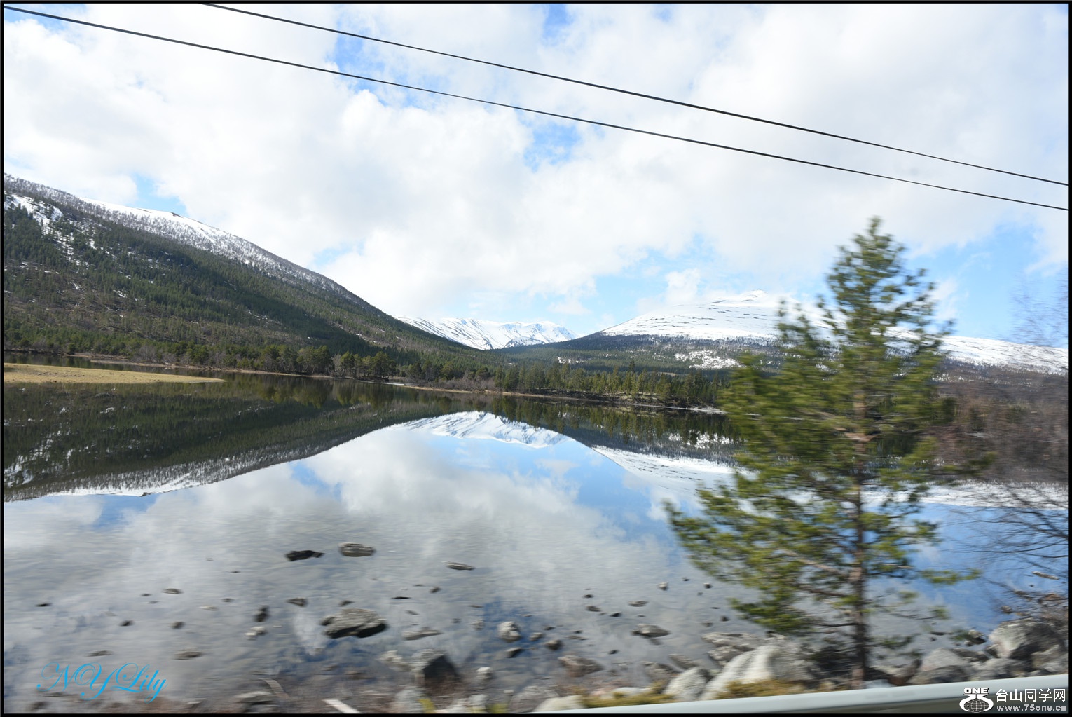 DSC_2548.jpg