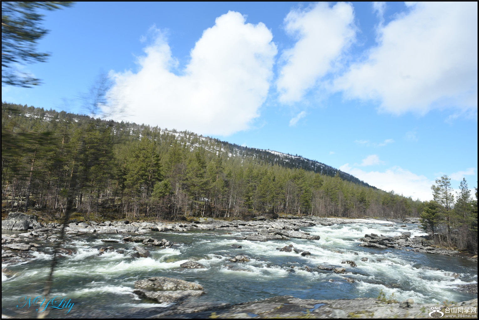 DSC_2555.jpg
