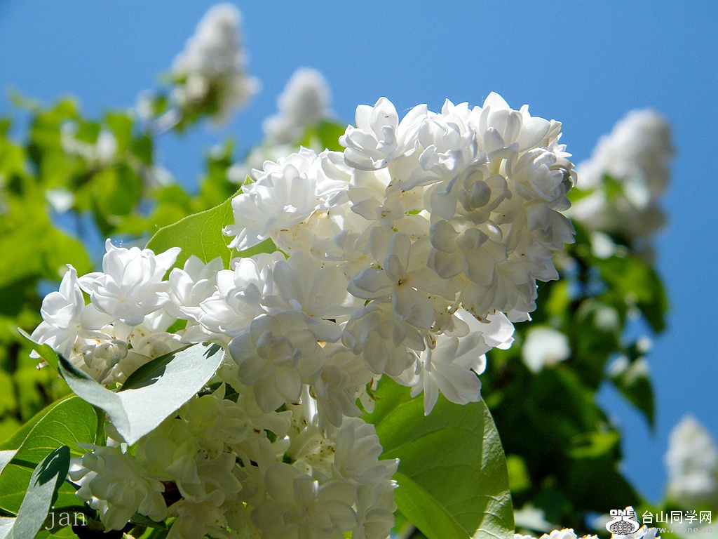 DSCF9834.JPG