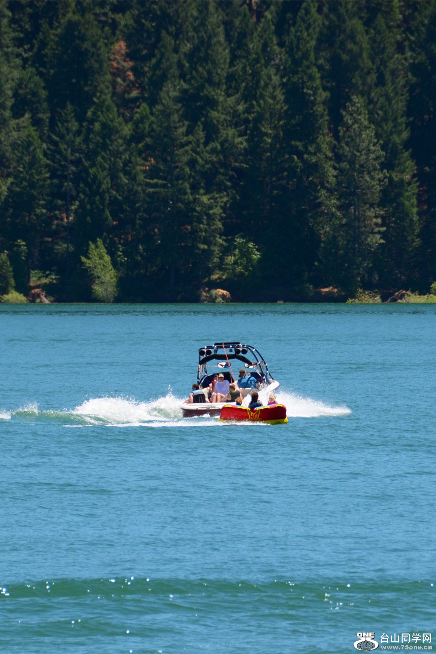 DSC_1733_48.jpg